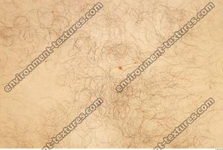 human skin hairy 0004